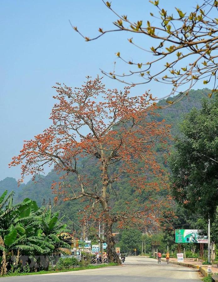 Nha Nghi Bolero Appartement Van Lam Buitenkant foto
